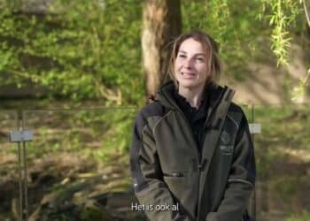 GaiaZOO: nieuwe otterman in Taiga!