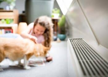 Tijdelijk Noodfonds Energie Biedt Hulp aan Huishoudens