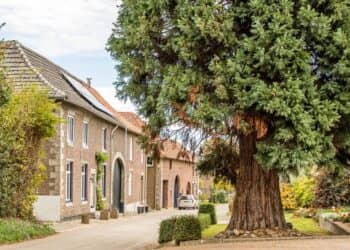 Nieuwe Europese Energielabelplicht voor Monumenten
