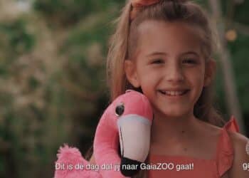 Bezoek deze zomervakantie het vernieuwde Rainforest gebied in GaiaZOO 🌎🌿