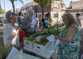 Eikenderveld gaat Groener