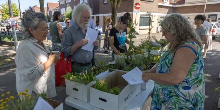 Eikenderveld gaat Groener