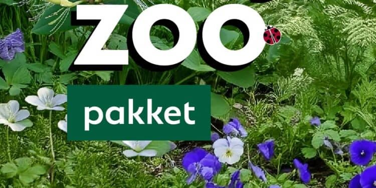 Ruil Tegels In Voor Groen Bij Het NK Tegelwippen