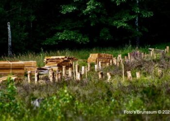 Natuurbeleving op nieuwe hoogte: Hangvennen krijgen vlonderbrug