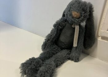 Gevonden: Knuffeltje bij Vijver in Voerendaal