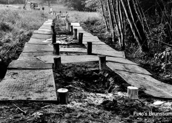 Schutterspark verwelkomt nieuwe vlonderbrug over Hangvennen