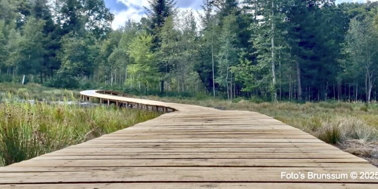Glanzende Onthulling: Schutterspark Verwelkomt Prachtige Nieuwe Vlonderbrug