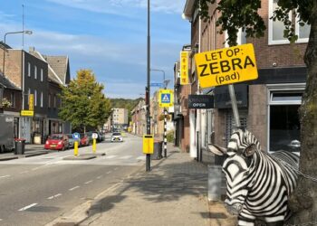 Zebra staat in Eygelshoven