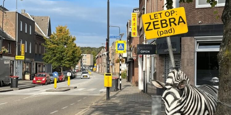 Zebra staat in Eygelshoven
