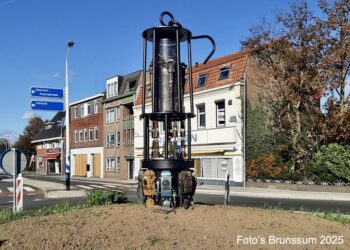 Transformative Art Graces Bodemplein Roundabouts