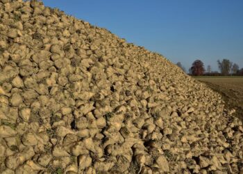 Pas op voor landbouwvoertuigen op de weg