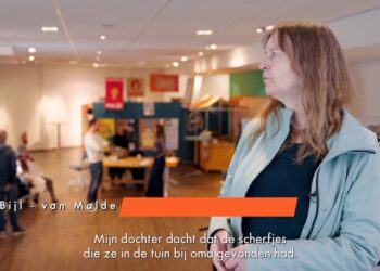 Schatten tussen Scherven