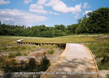 Vernieuwde en uitgebreide vlonderbruggen in Schutterspark