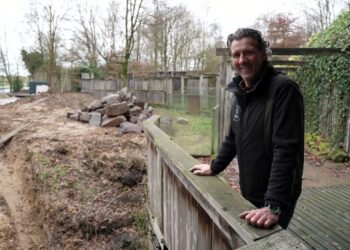 Under construction: de verblijven van twee nieuwe diersoorten