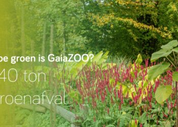 Zo groen is GaiaZOO – de groendienst