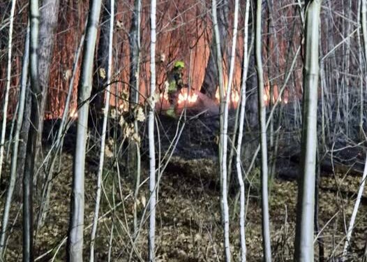 Maak een aansprekende titel bij dit bericht. Plaats geen andere tekst in de titel.Waarschijnlijke brandstichting bij de hangvennen brandweer snel ter plaatsen in het Schutterspark  Buurtnetwerk Brunssum…