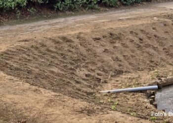 Maak een aansprekende titel bij dit bericht. Plaats geen andere tekst in de titel.Het vijverpark heeft zijn eerste beplanting al gekregen het wordt steeds mooier Gemeente Brunssum Buurtnetwerk Brunssum…