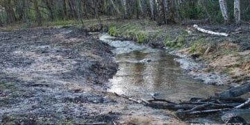 Maak een aansprekende titel bij dit bericht. Plaats geen andere tekst in de titel.Goed nieuws voor de veenorchis in de Breukberg. Klimaatverandering en menselijk ingrijpen, zoals de aanleg van de Buiten…