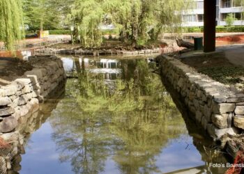Maak een aansprekende titel bij dit bericht. Plaats geen andere tekst in de titel.Openluchttheater en Vijverpark de werkzaamheden. Gemeente Brunssum Buurtnetwerk Brunssum Buurtnetwerk Brunssum Centrum…