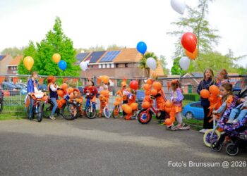 Maak een aansprekende titel bij dit bericht. Plaats geen andere tekst in de titel.Koningsdag Langeberg. In de wijk Langeberg werd Koningsdag weer volop gevierd.  De straten waren sfeervol versierd met v…