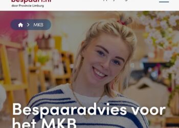 Schrijf een korte en pakkende titel in het Nederlands op basis van de onderstaande Facebooktekst: Met Limburg Bespaart helpt Provincie Limburg MKB ondernemers in Limburg bij het zetten van concrete stappen richting energiebesparing en verduurzaming. Via deze regeling kunnen ondernemers subsidie aanvragen voor onafhankelijk bespaaradvies. De subsidie bedraagt maximaal 90% van de subsidiabele kosten, tot een maximum van € 2.800. Kijk op  https://www.limburgbespaart.nl/mkb en download de “direct aan de slag gids”.    Gebruik normale Nederlandse hoofdletterregels:   – Begin de titel met een hoofdletter.   – Gebruik hoofdletters bij plaatsnamen of namen van personen.   – Schrijf de rest van de titel zoals gebruikelijk, zonder onnodige hoofdletters.  Geef alleen de titel terug. Geen uitleg of extra tekst.