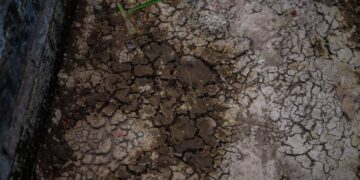 Schrijf een korte en pakkende titel in het Nederlands op basis van de onderstaande Facebooktekst: Ga bewust om met water, elke druppel telt! De droogte is misschien niet overal zichtbaar. Onder de grond is dat anders. De grondwaterstanden in Limburg zijn historisch laag. Hoewel je daar aan de oppervlakte nog weinig van merkt, worden de gevolgen steeds groter: • Beken dreigen droog te vallen • Bomen en planten raken verzwakt • De druk op onze watervoorraad neemt toe Door bewust met water om te gaan, kunnen we samen de gevolgen van de droogte helpen beperken. Gebruik alleen water als het echt nodig is. Iedere druppel telt. Meer informatie: https://www.waterschaplimburg.nl/…/waterschap-limburg-roe…/….    Gebruik normale Nederlandse hoofdletterregels:   – Begin de titel met een hoofdletter.   – Gebruik hoofdletters bij plaatsnamen of namen van personen.   – Schrijf de rest van de titel zoals gebruikelijk, zonder onnodige hoofdletters.  Geef alleen de titel terug. Geen uitleg of extra tekst.