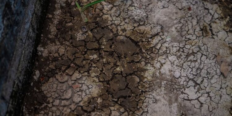 Schrijf een korte en pakkende titel in het Nederlands op basis van de onderstaande Facebooktekst: Ga bewust om met water, elke druppel telt! De droogte is misschien niet overal zichtbaar. Onder de grond is dat anders. De grondwaterstanden in Limburg zijn historisch laag. Hoewel je daar aan de oppervlakte nog weinig van merkt, worden de gevolgen steeds groter: • Beken dreigen droog te vallen • Bomen en planten raken verzwakt • De druk op onze watervoorraad neemt toe Door bewust met water om te gaan, kunnen we samen de gevolgen van de droogte helpen beperken. Gebruik alleen water als het echt nodig is. Iedere druppel telt. Meer informatie: https://www.waterschaplimburg.nl/…/waterschap-limburg-roe…/….    Gebruik normale Nederlandse hoofdletterregels:   – Begin de titel met een hoofdletter.   – Gebruik hoofdletters bij plaatsnamen of namen van personen.   – Schrijf de rest van de titel zoals gebruikelijk, zonder onnodige hoofdletters.  Geef alleen de titel terug. Geen uitleg of extra tekst.